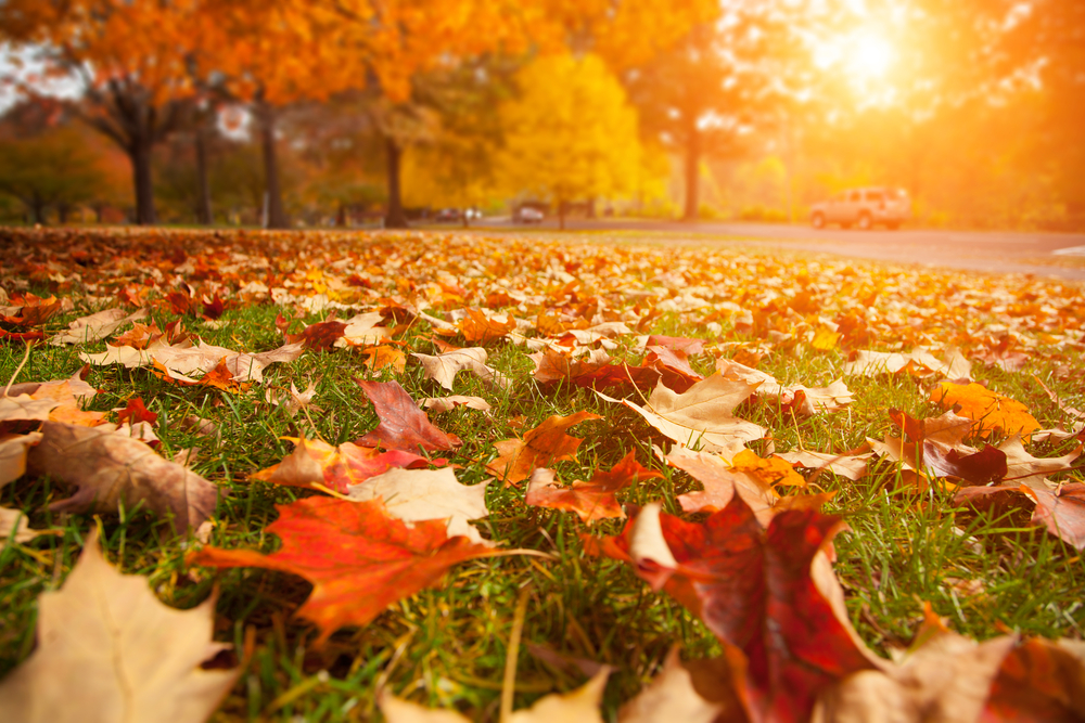 Tips to Help You Avoid Injury This Autumn